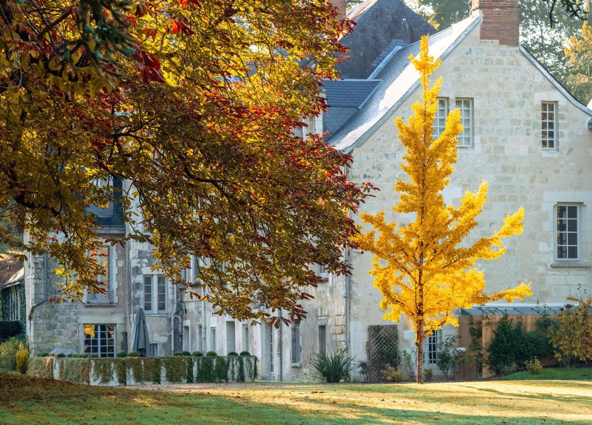 Domaine De La Commanderie De Ballan ภายนอก รูปภาพ